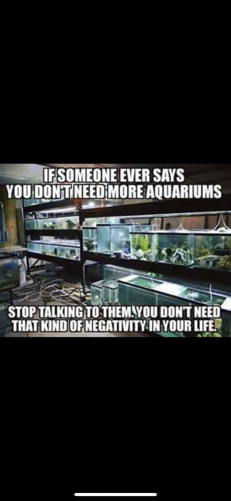 8E77DA45-752C-43E1-A801-AA56CD017D83.png