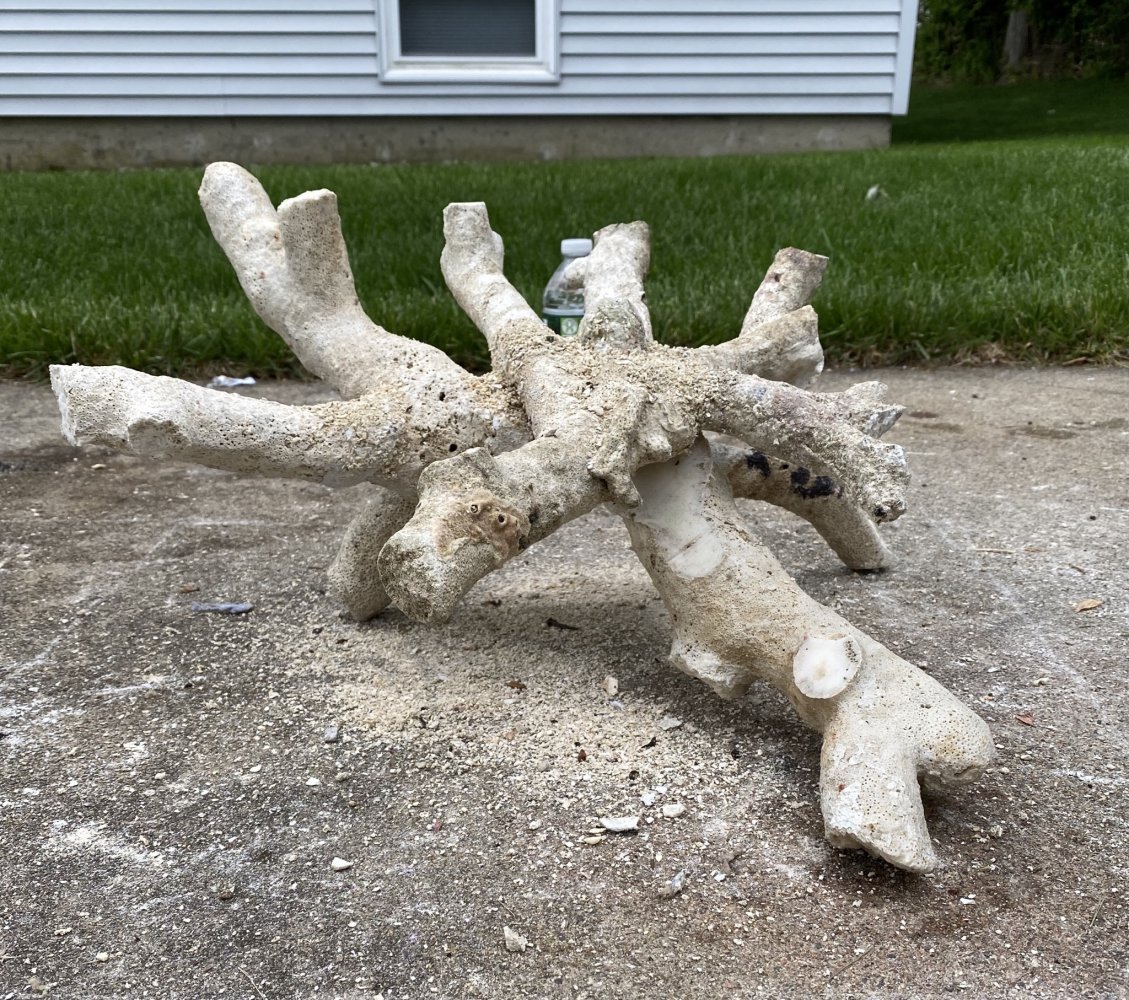 8FC3AD1D-CD7C-4C70-9389-6931F29F9E90.jpeg