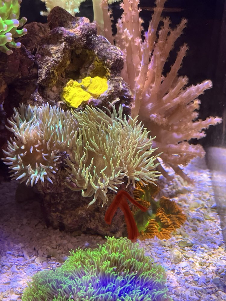 90D48155-F271-49EF-BE4D-D26F778EBD01.jpeg