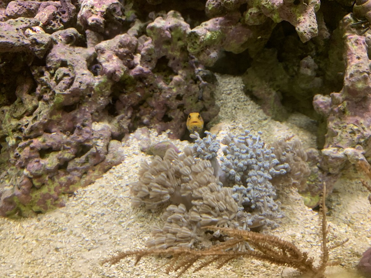 9A3DC79D-FF09-437B-A9FF-D237794A8D7B.jpeg