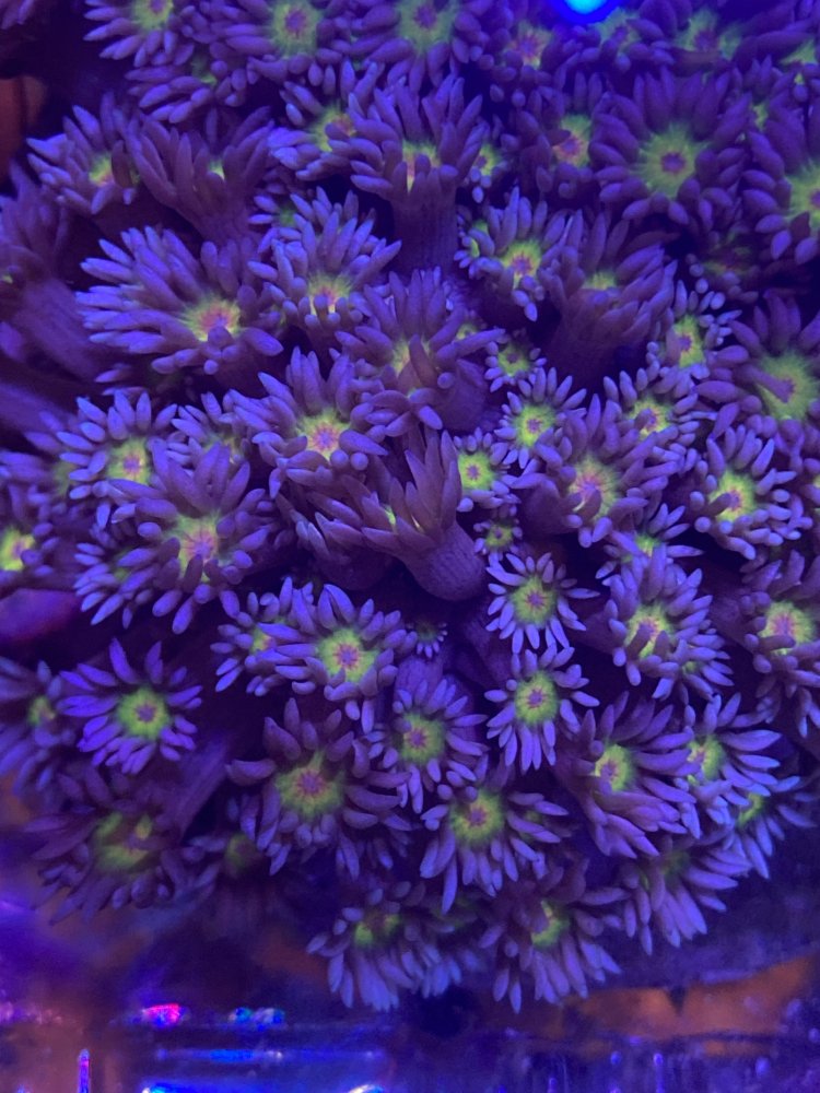 9FF7535E-1839-4D32-8D65-2D2E77D481A2.jpeg