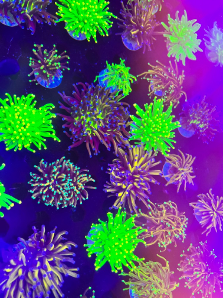A14BF192-D374-493C-A6ED-528E51E36CA1.jpeg