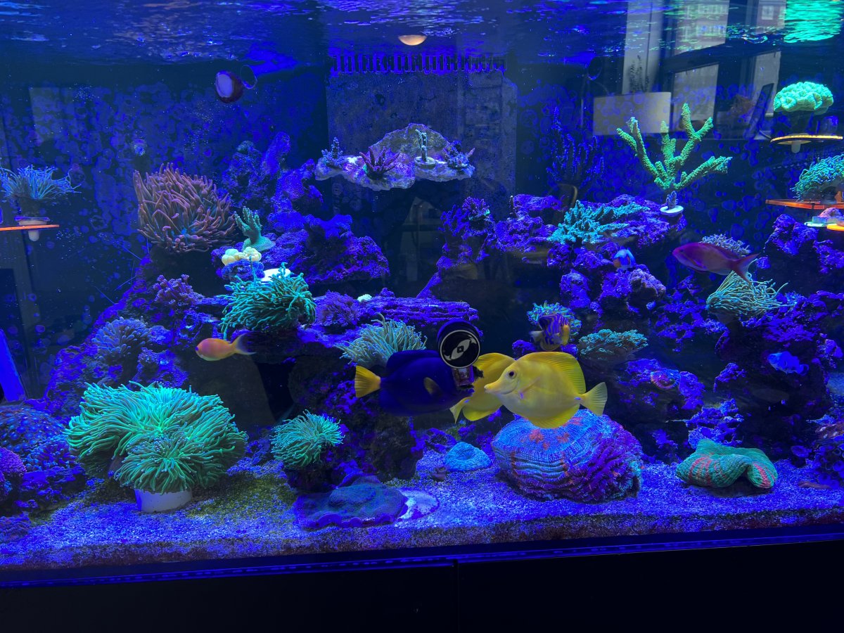 A23D0241-6602-4938-8CC3-1BD37B62D922.jpeg