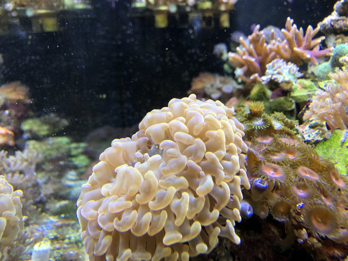 A5DDB0A8-8764-4307-9508-D40BDC51AEA0.jpeg