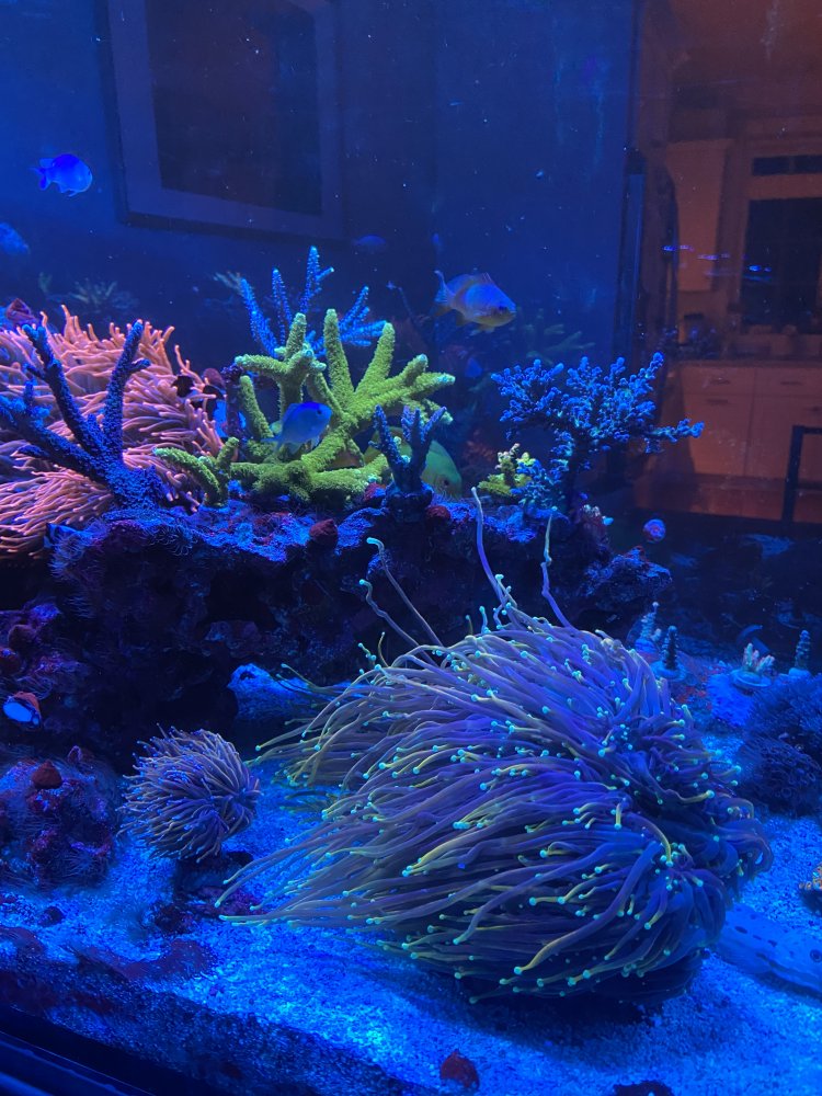 A7E00C27-ABF1-4F3F-AC9D-FD00548629D0.jpeg