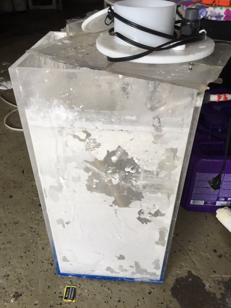 AC134086-3EEA-46BB-832F-755396170461.jpeg