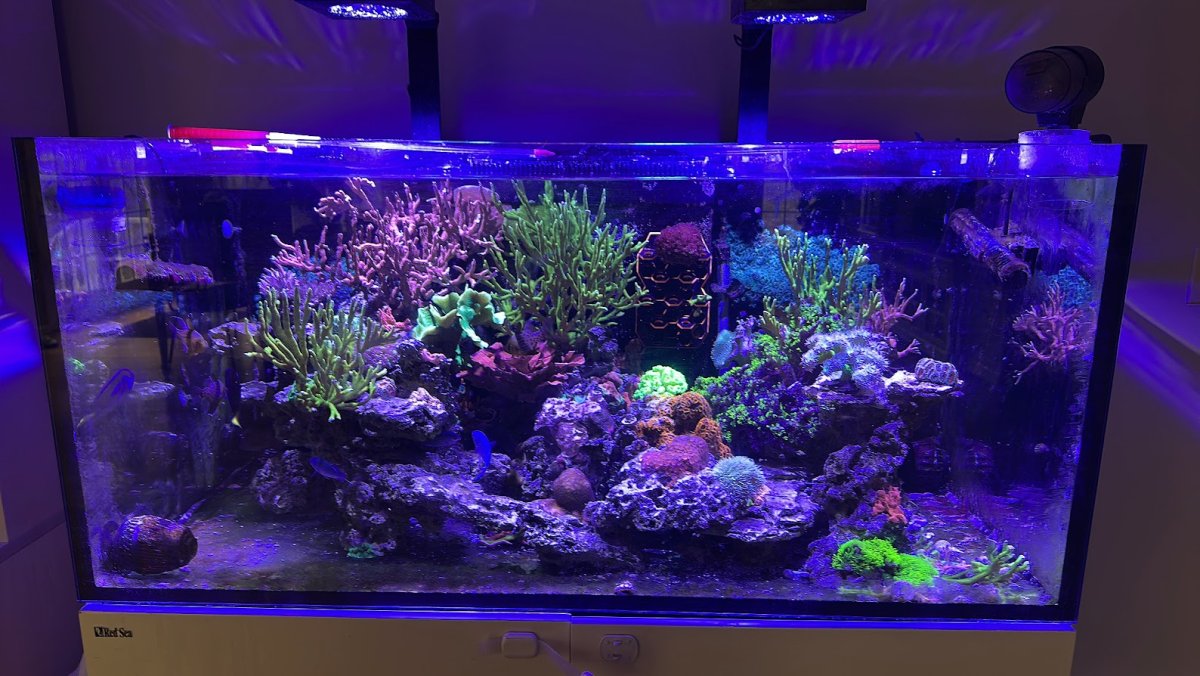 AquaCam_11595647.jpg