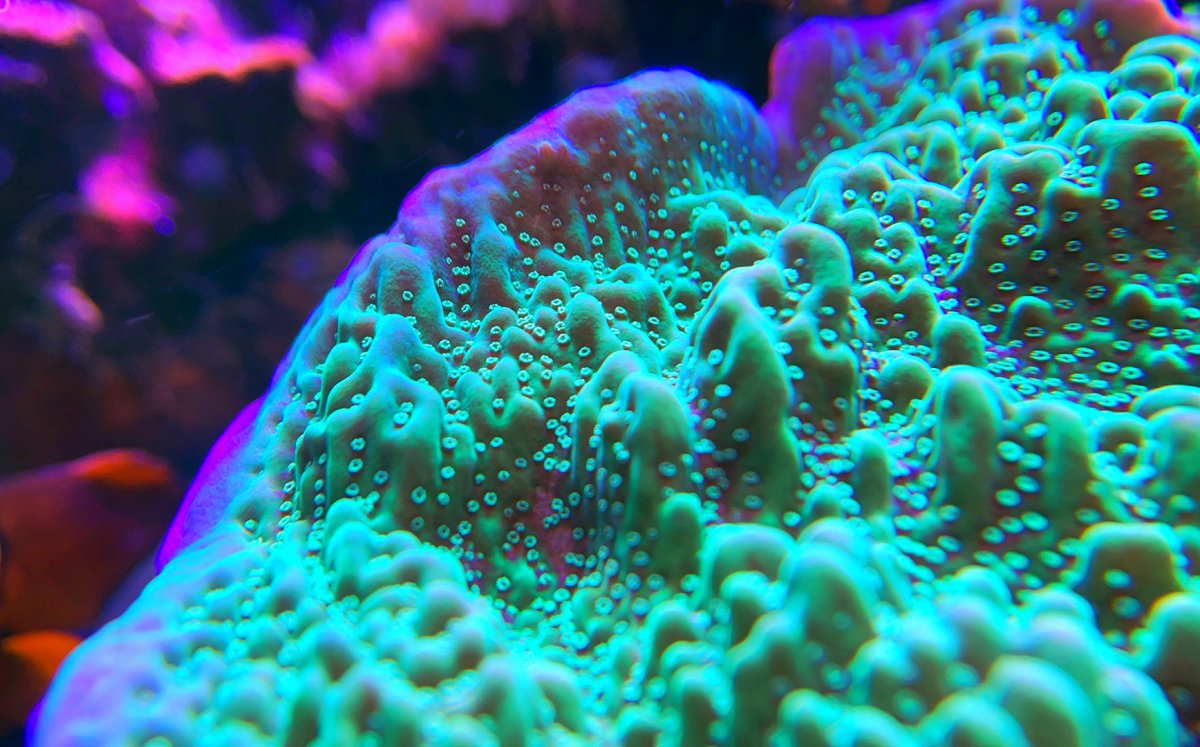 B2120537-3296-428F-B690-B987BAEE32E8.jpeg