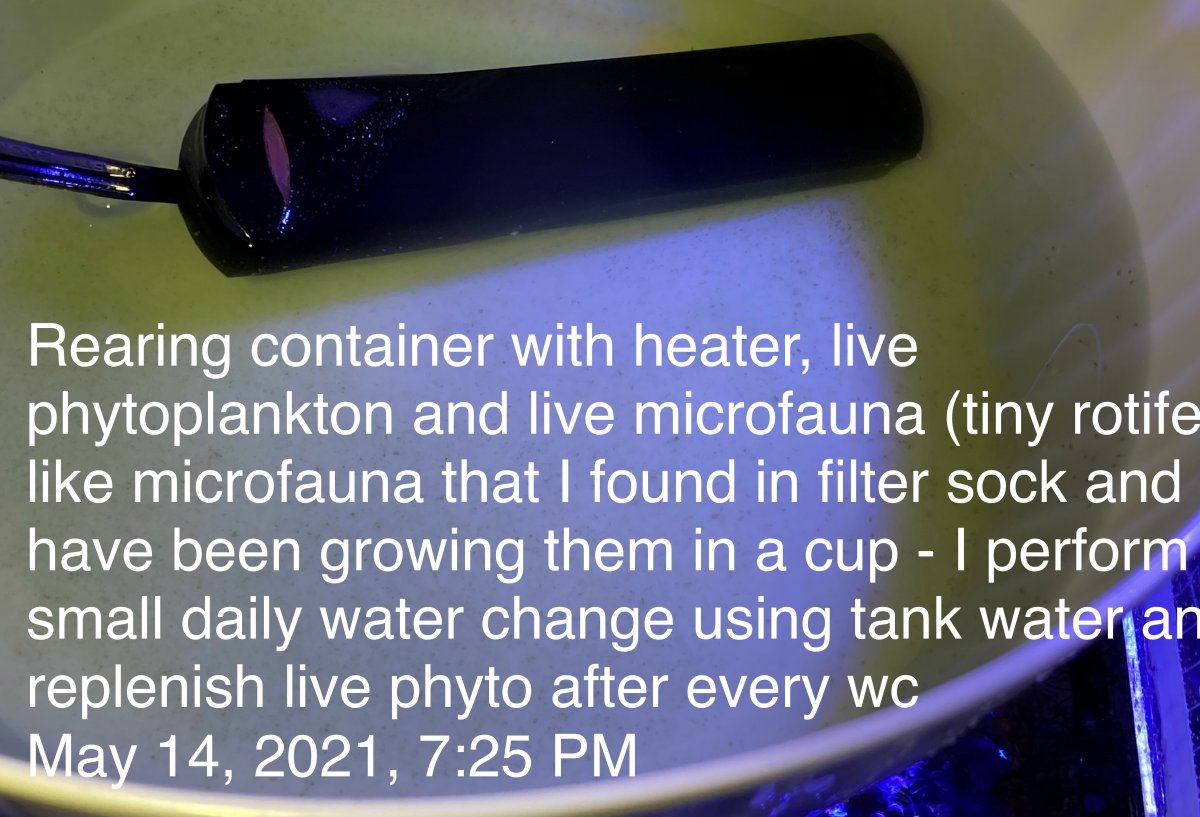 B4597AE7-7076-45C1-812E-41DD010E2F70.jpeg