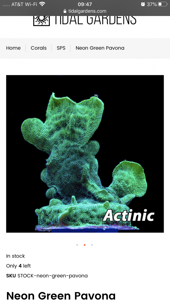 B7DDEC61-1F11-4B90-B453-53D0812BD793.png