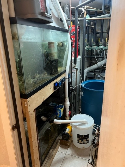 Basement Sump.jpg