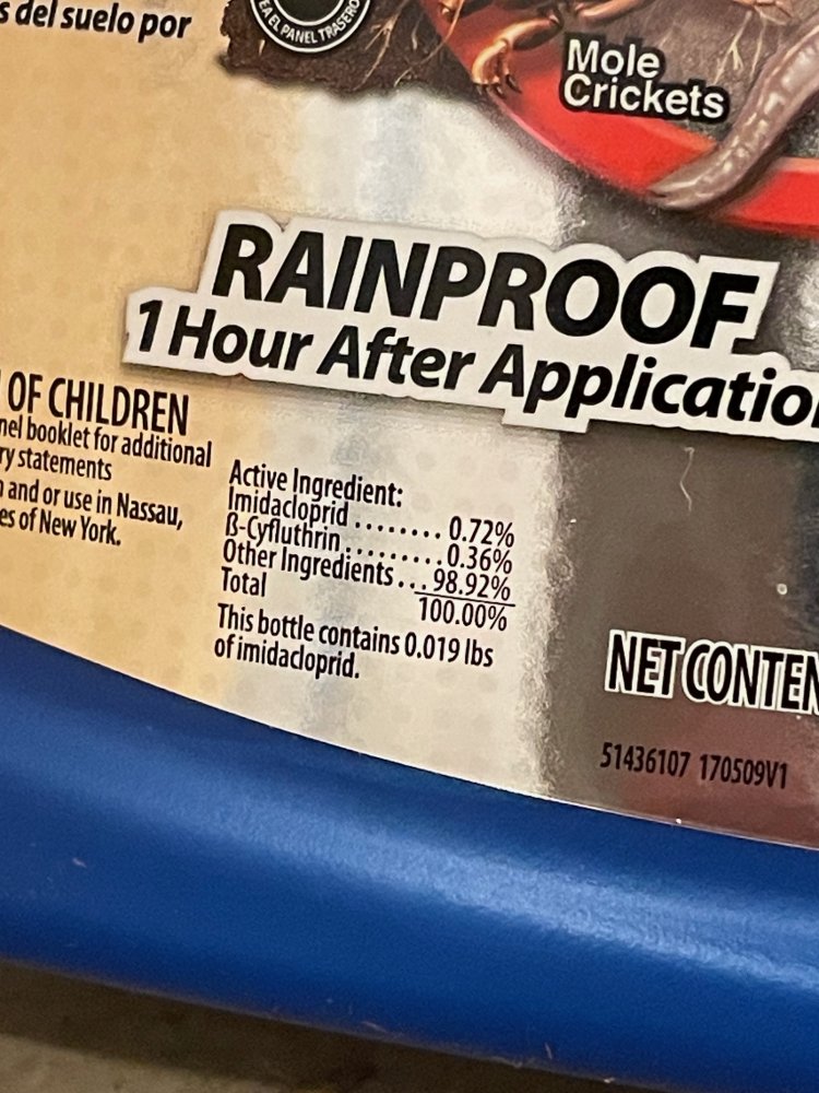 bayer2.jpg