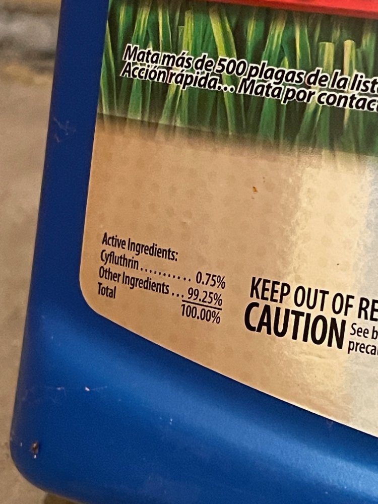 bayer3.jpg