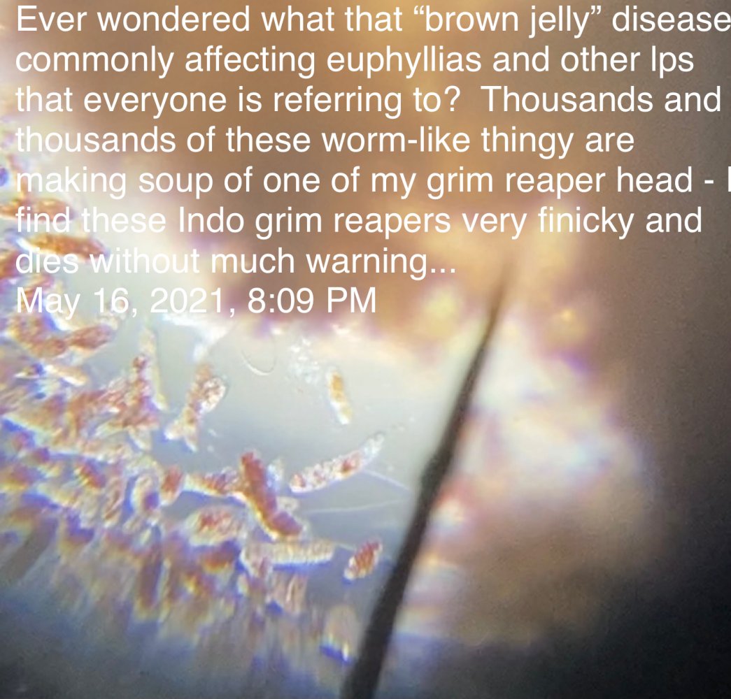 BD637EBB-16E9-436E-A202-9E4D80DD47B9.jpeg