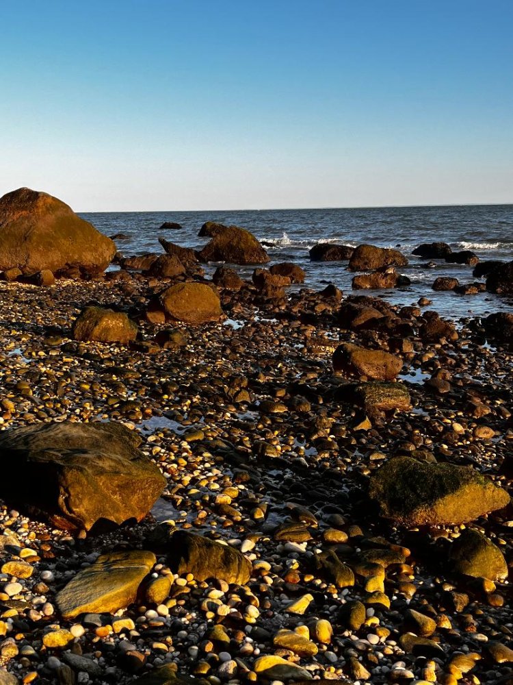 Beach Rocks.jpg