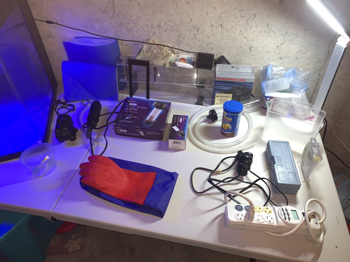 BioCube1.jpg