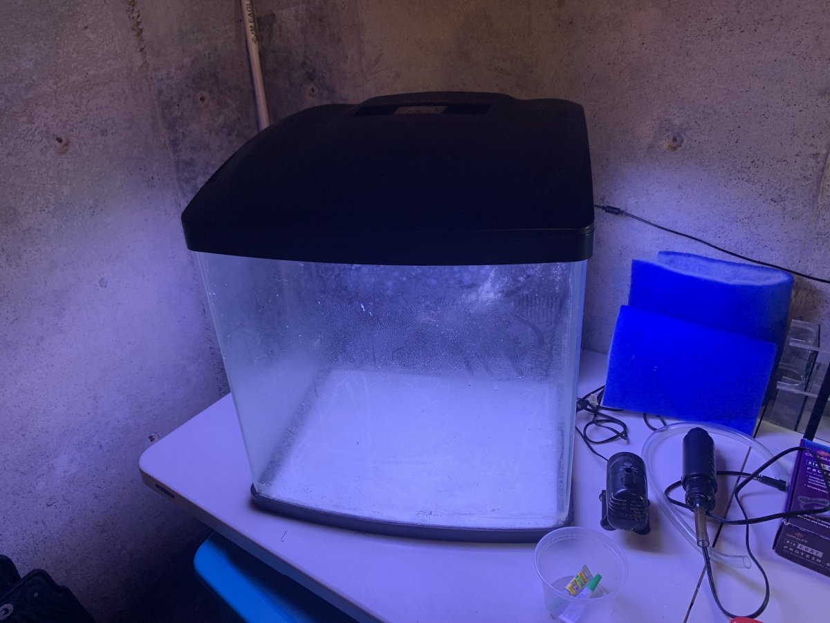 BioCube2.jpg