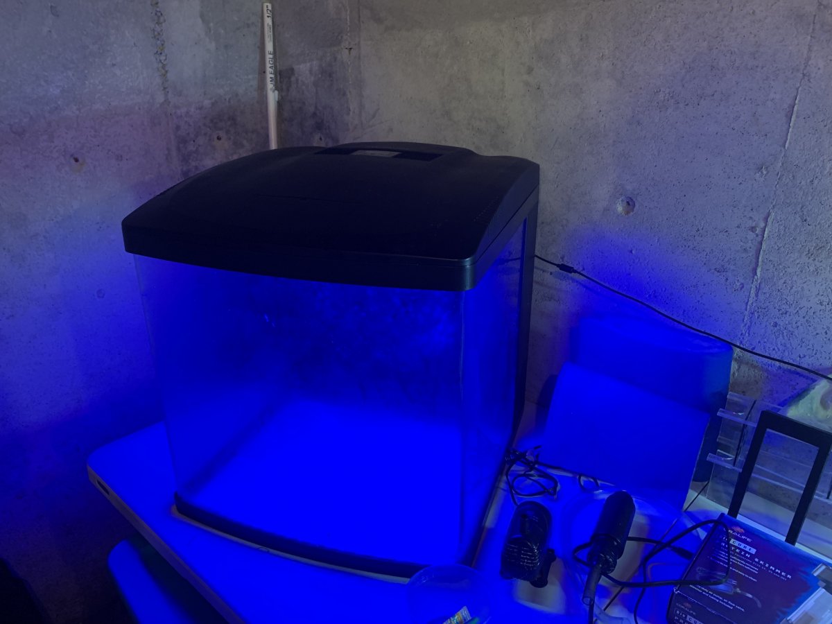 Biocube3.jpg