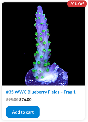 blueberry.jpg