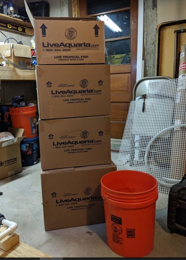 boxes.JPG