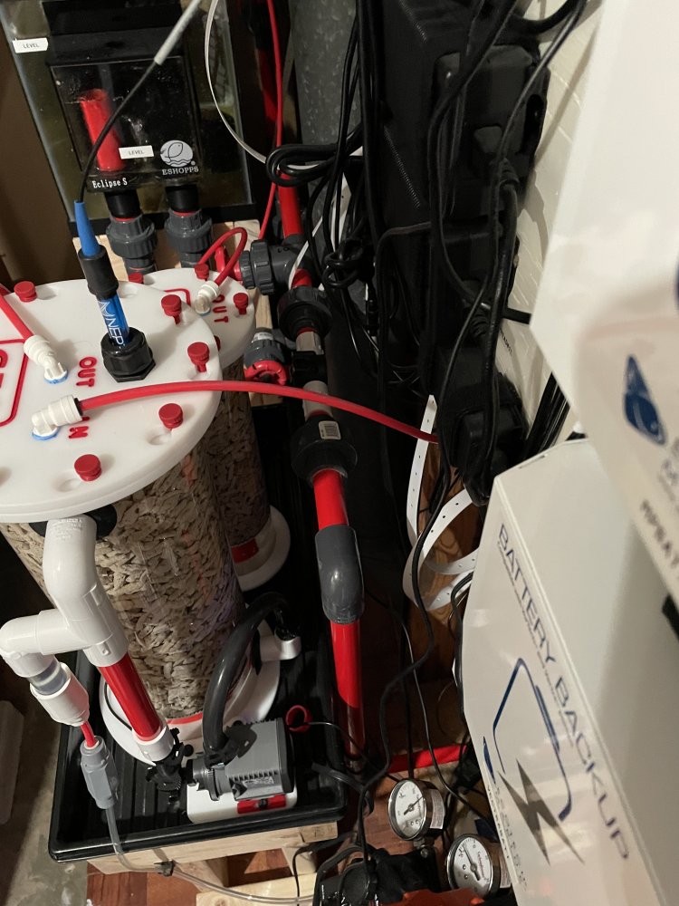 C075790F-1822-4AB3-A57C-22324B507267.jpeg