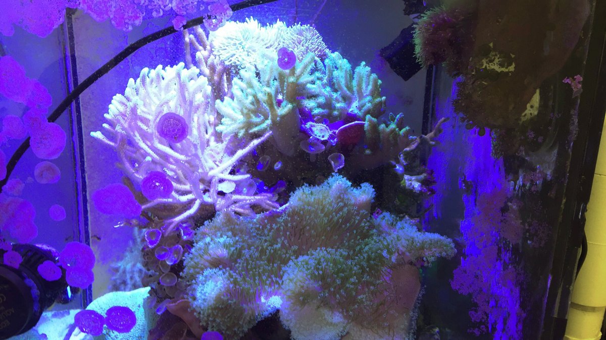 C0BFE23C-F266-453A-B92E-D0F265D09B9A.jpeg