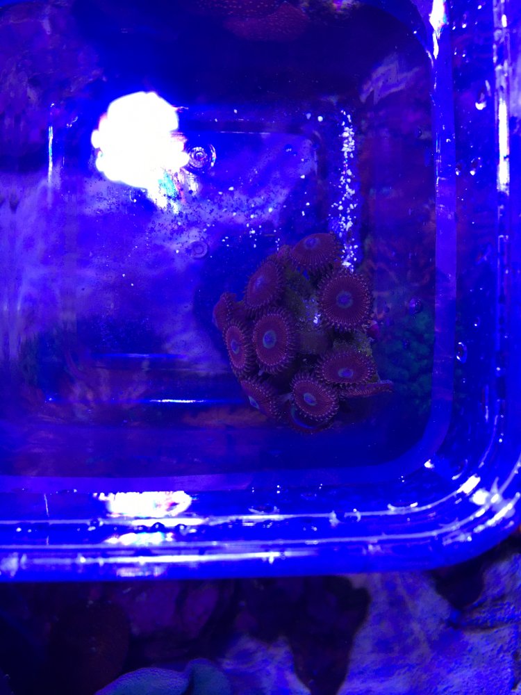 C1D38696-7C6B-46D3-B7A2-DF669059D064.jpeg