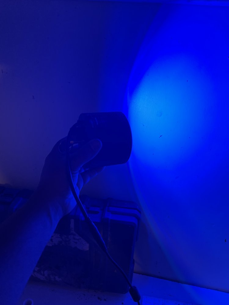 C30B1A2D-8F9A-4B2D-830E-D7D0D87AAC5E.jpeg
