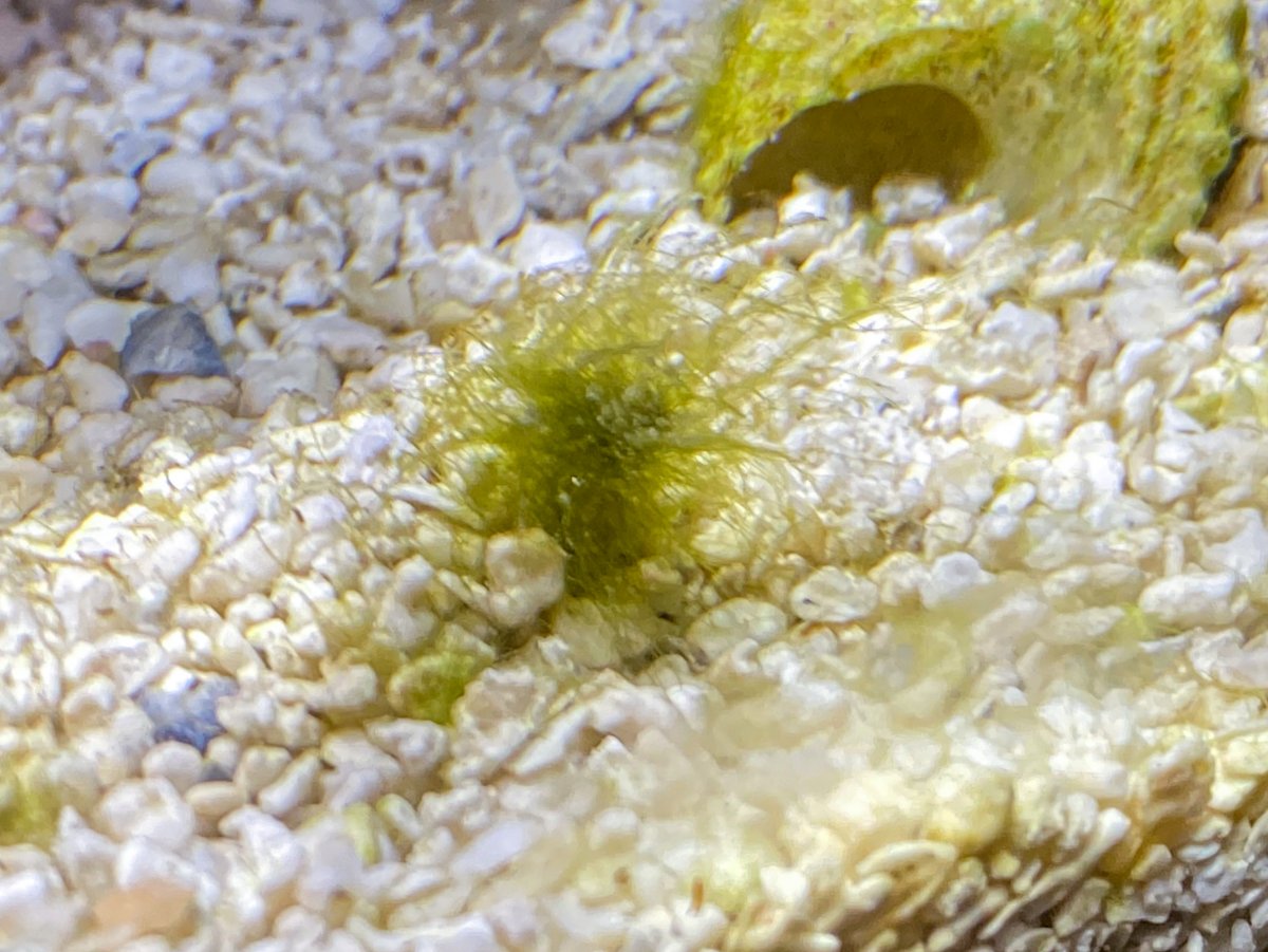 C30F0454-A066-4395-B131-1284D7922EB8.jpeg