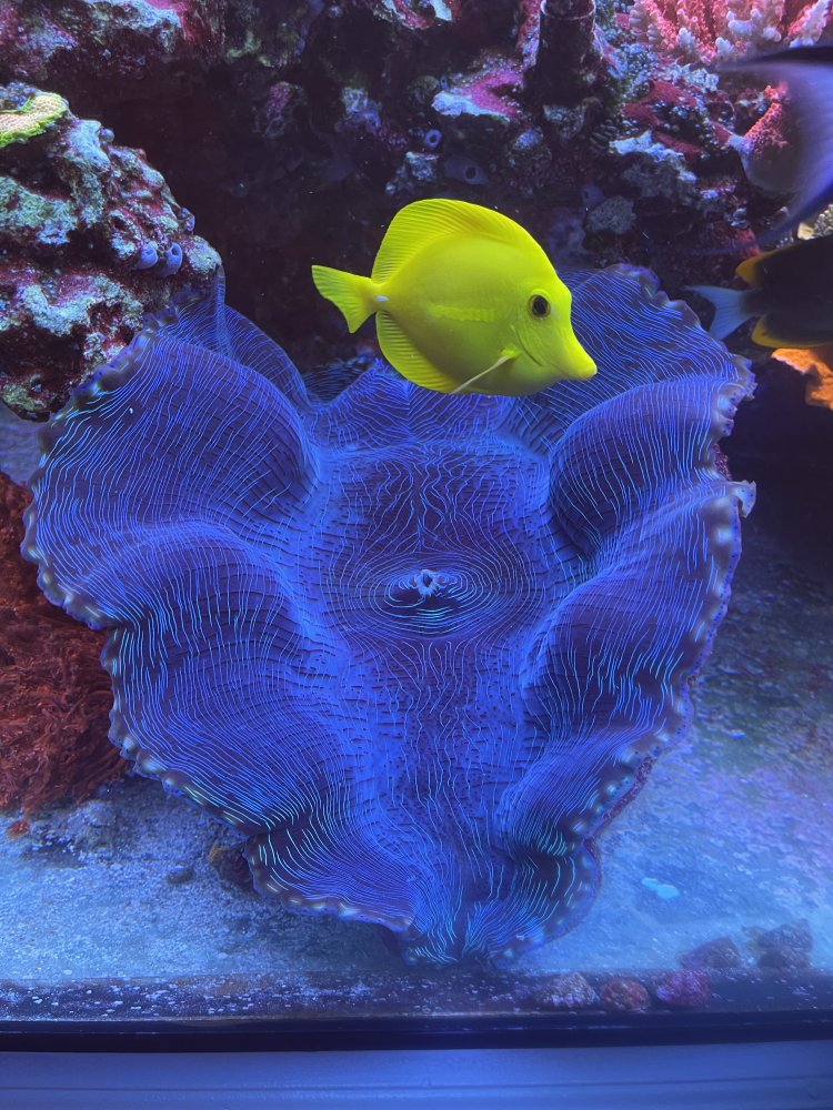 C3BC73BD-B039-4CE8-969E-D257ABE5342C.jpeg