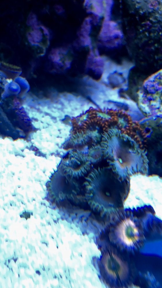 C9225901-0F4D-49F5-B19C-9E035C227793.jpeg