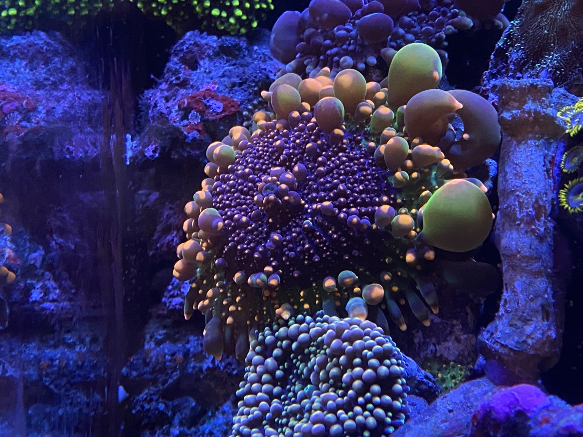 CA279DF0-458D-4C87-A403-C30743884D8E.jpeg