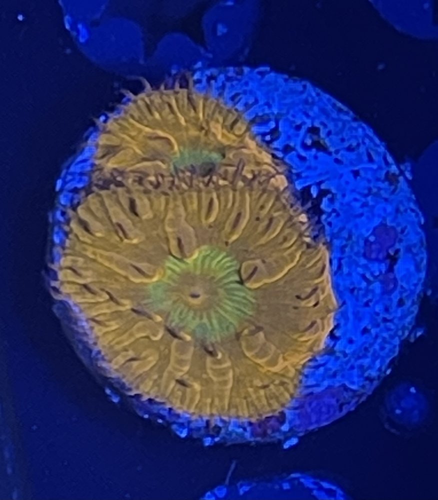 CAE74F22-B8C7-40E5-BB1F-02C14E768C72.jpeg