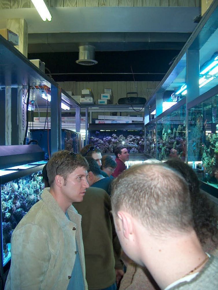 Crowd.JPG