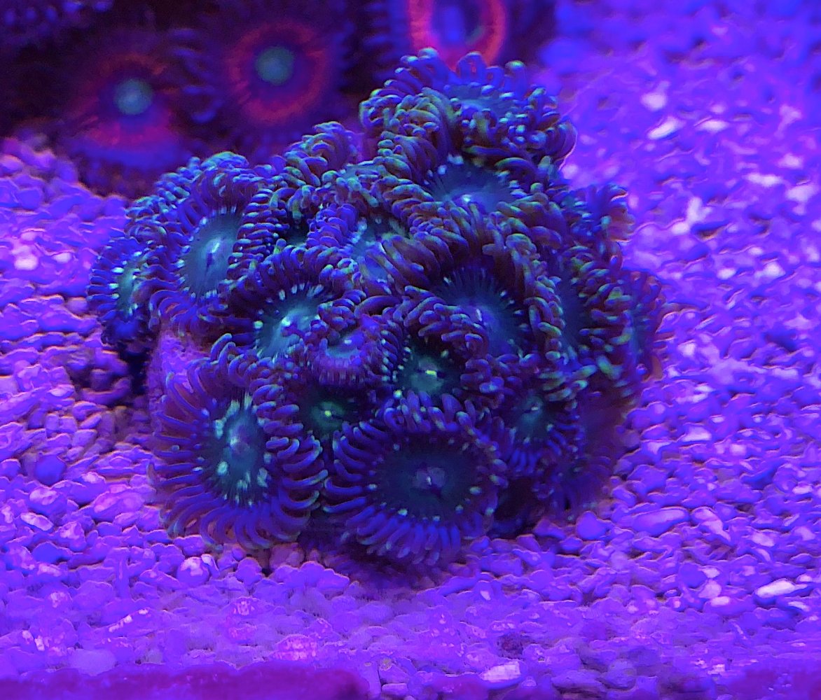 D0F72764-A0B2-46C2-9698-5EC6611F1906.jpeg