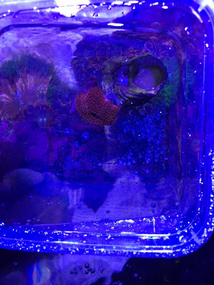 D2977866-EC75-4135-B093-17ACBD2062F9.jpeg