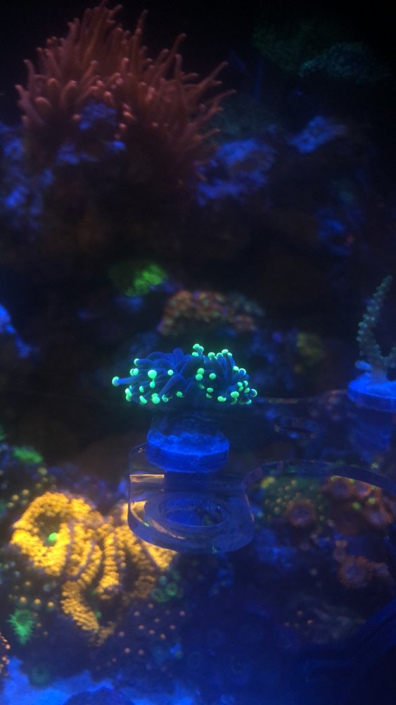 D84AB1E7-4660-4099-A78E-8D514795958C.jpeg