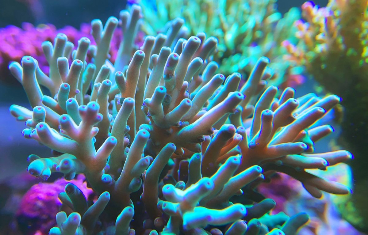 D92D9838-15BC-4F63-BC52-C6D50335961F.jpeg
