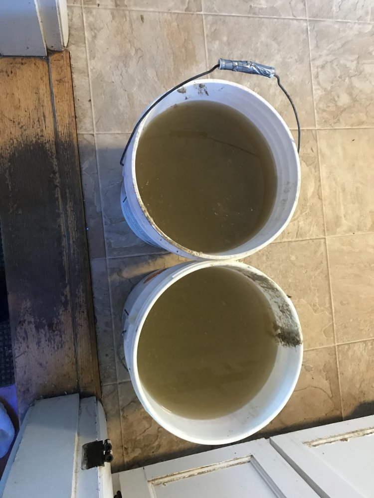 Detritus.jpg