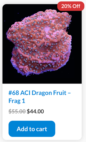 Dragon.jpg