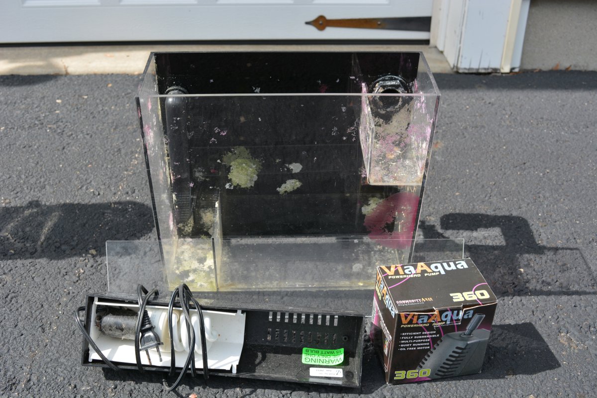 DSC_0977a.jpg