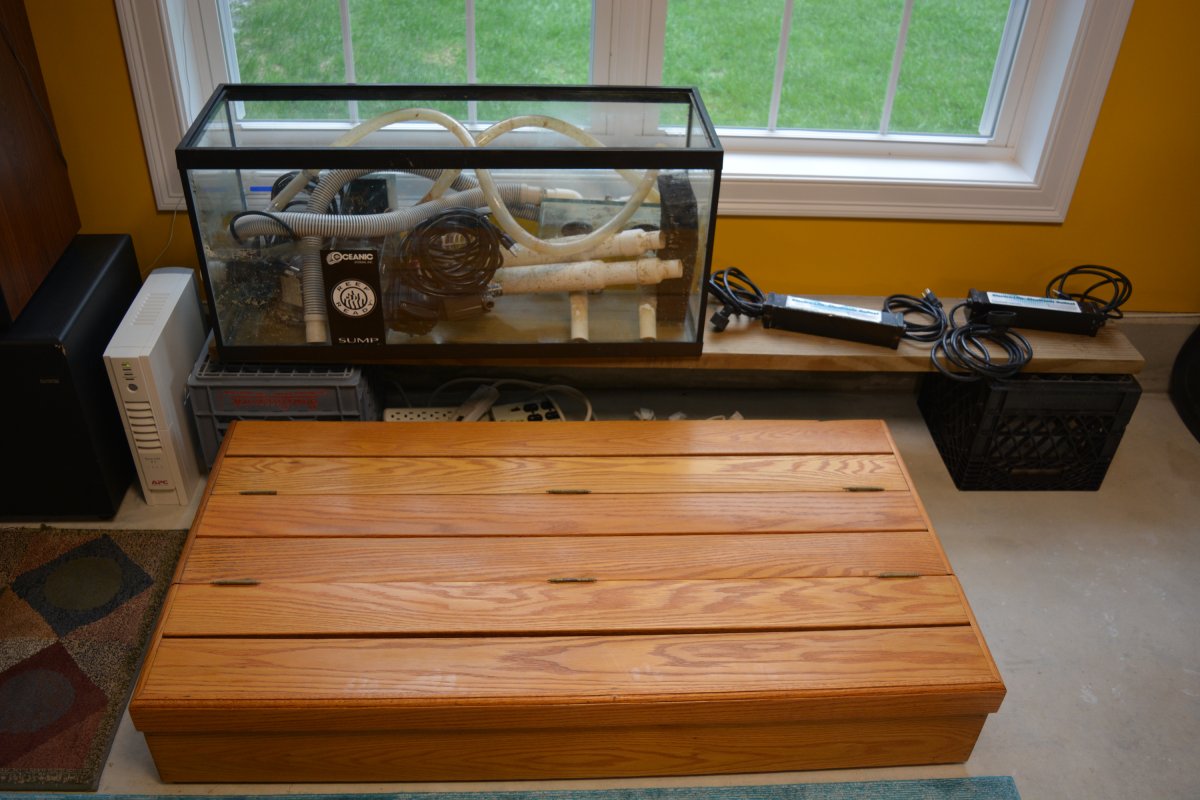 DSC_0982a.jpg