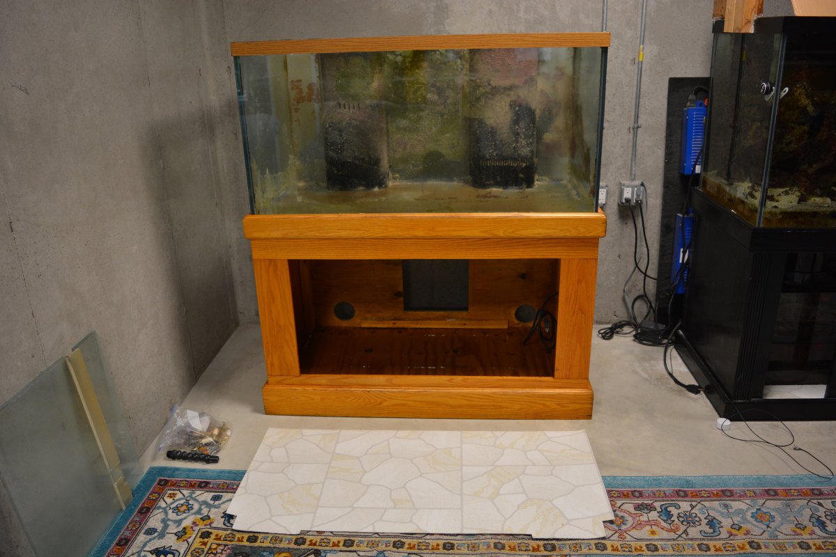 DSC_0984a.jpg