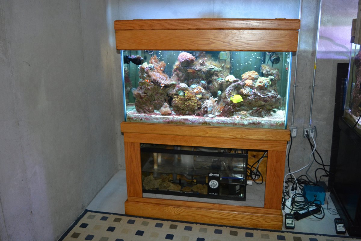 DSC_2545a.jpg
