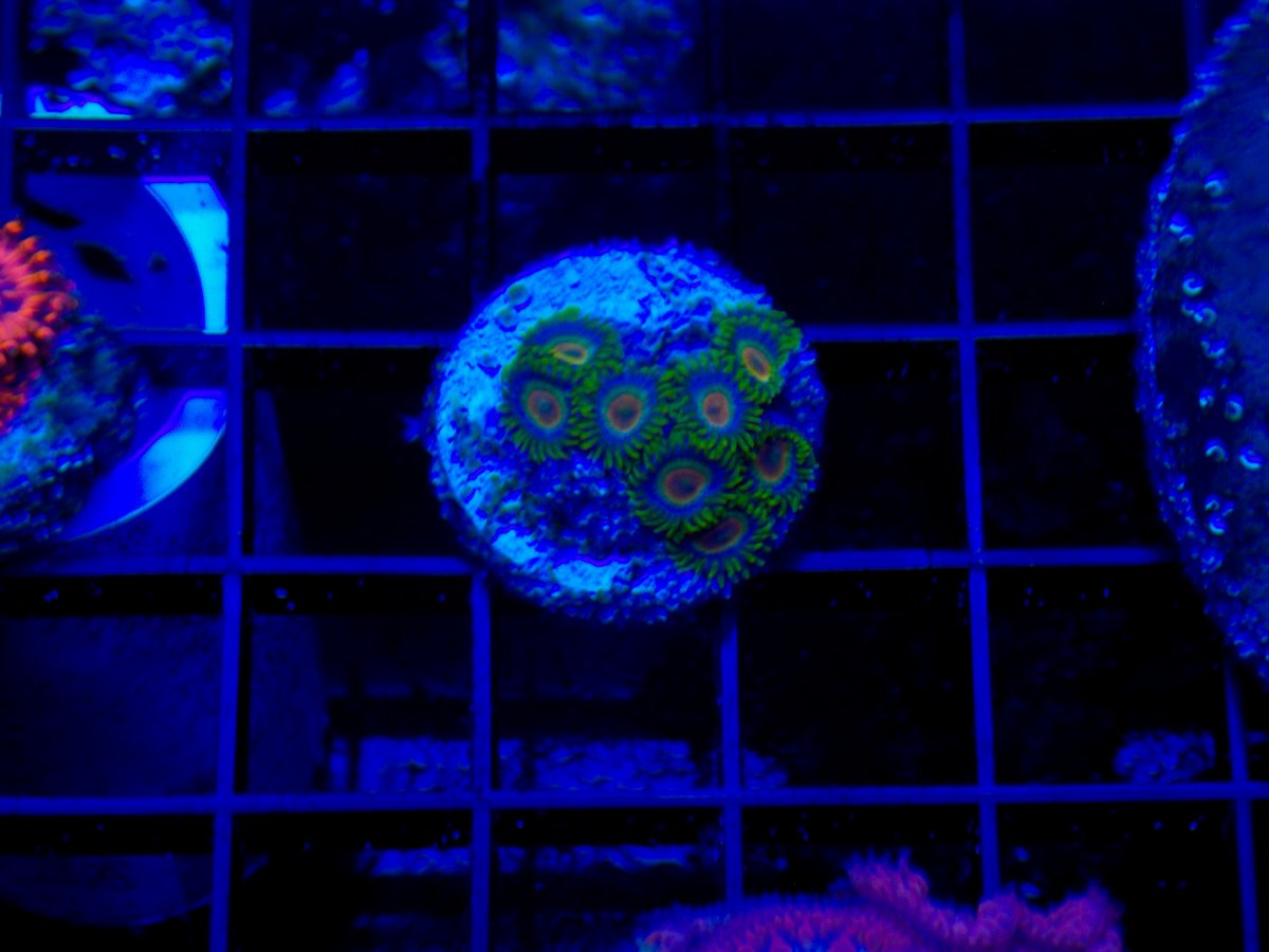 DSCN0434.jpg