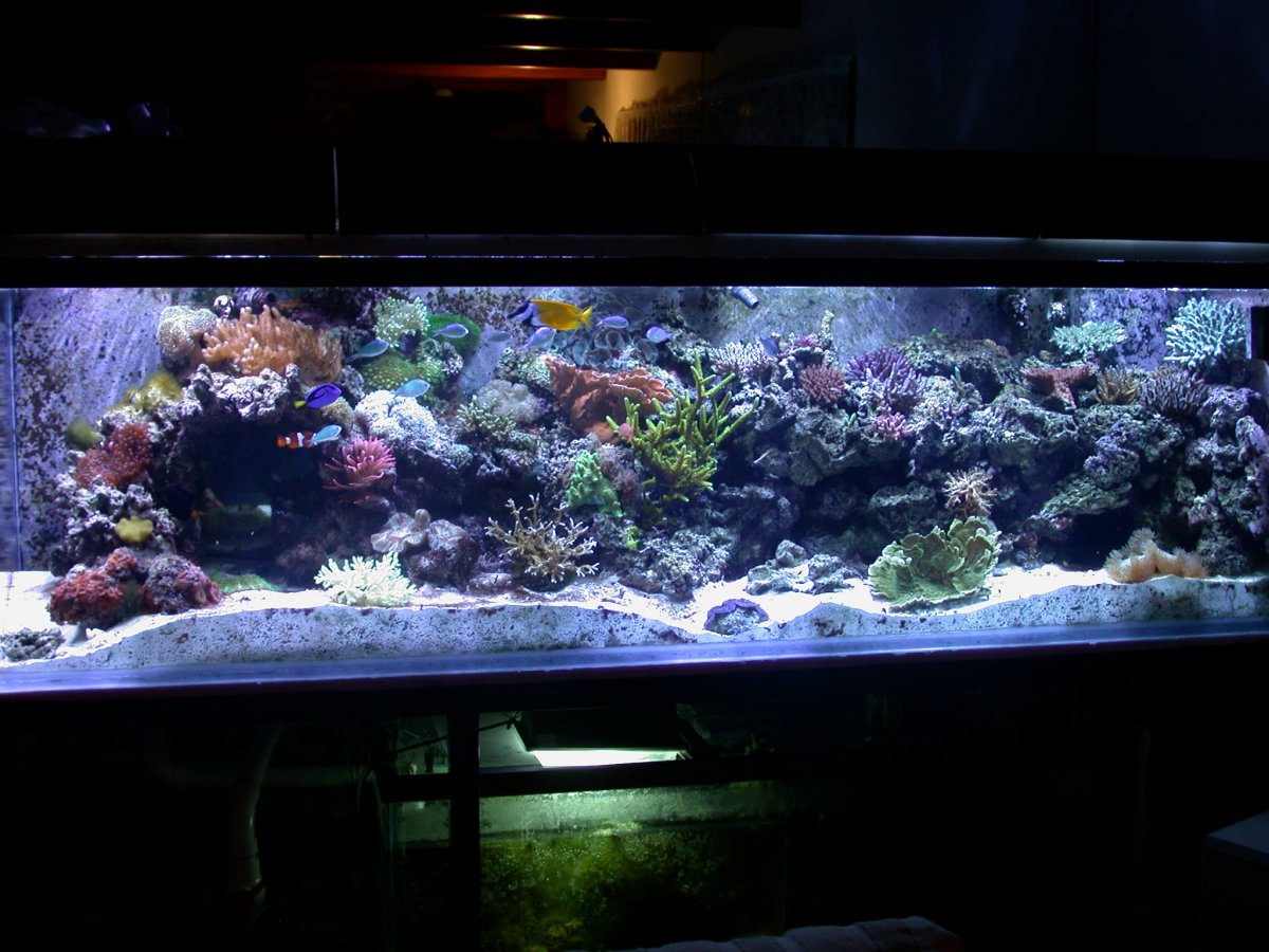DSCN2129.JPG