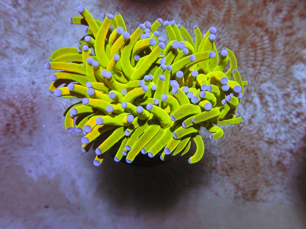 DSCN2300.JPG