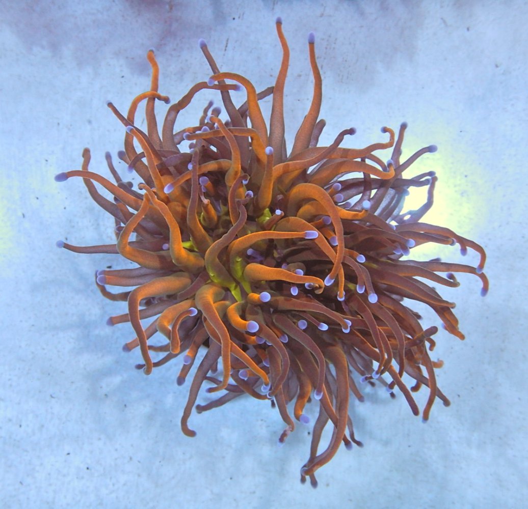 DSCN2341.JPG