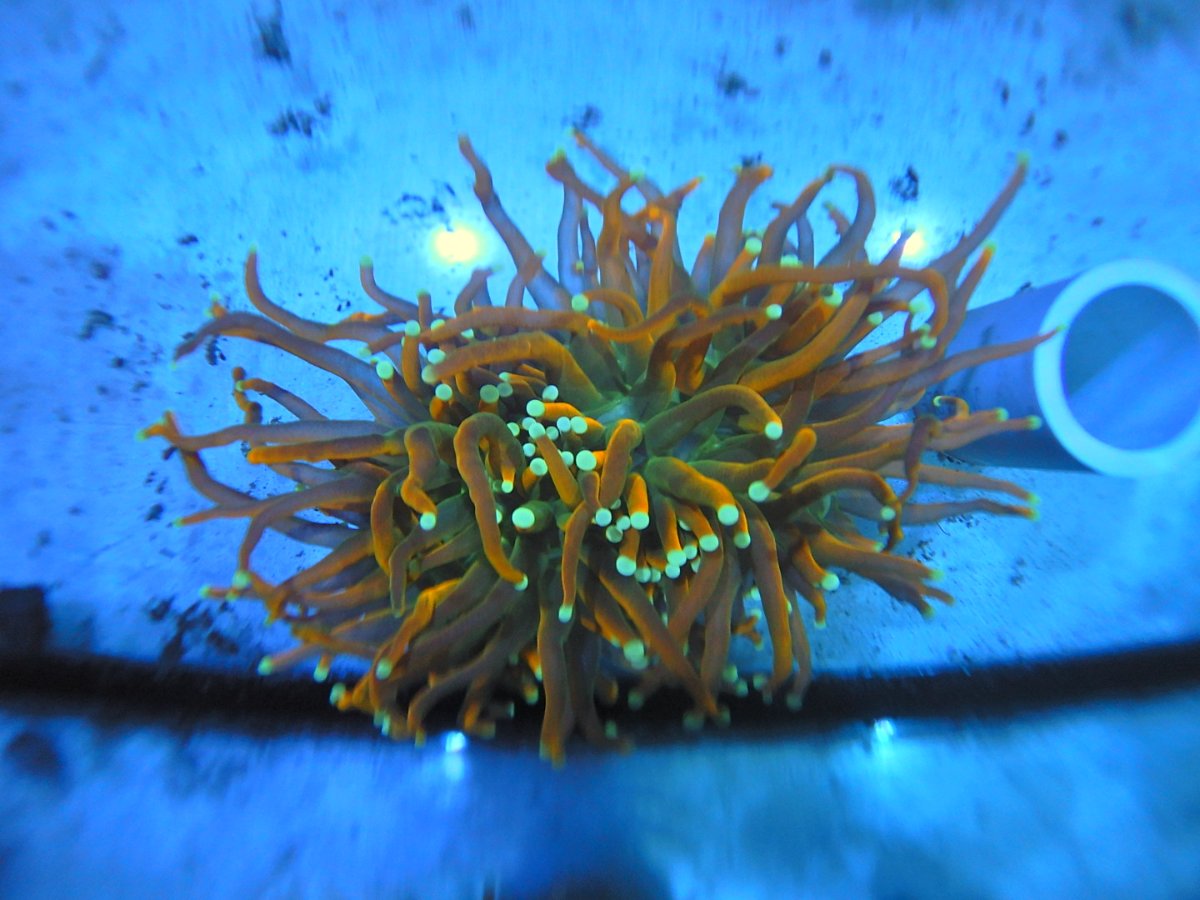 DSCN2476.JPG