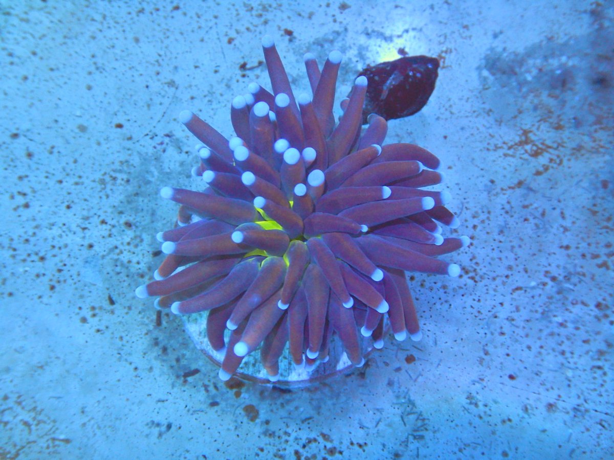 DSCN2490.JPG